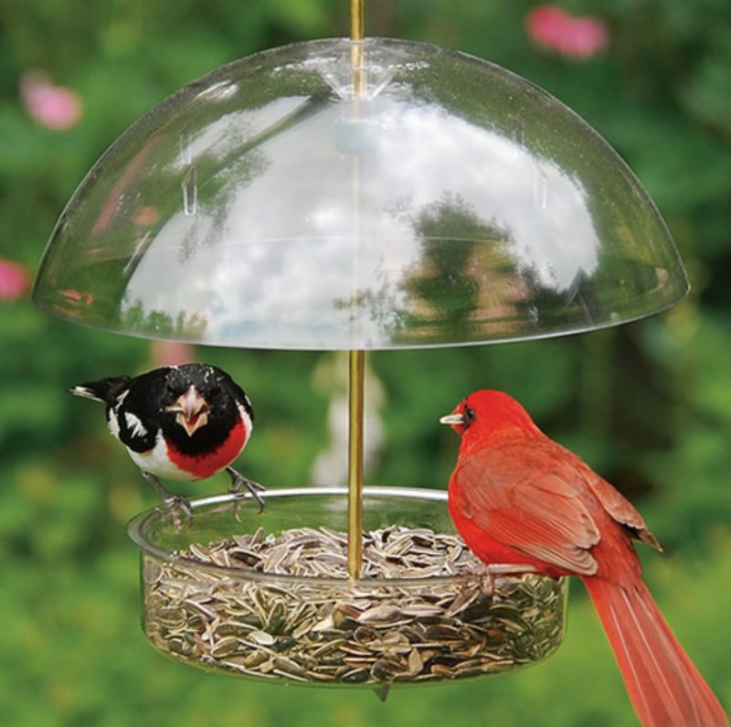 seed saver bird feeder