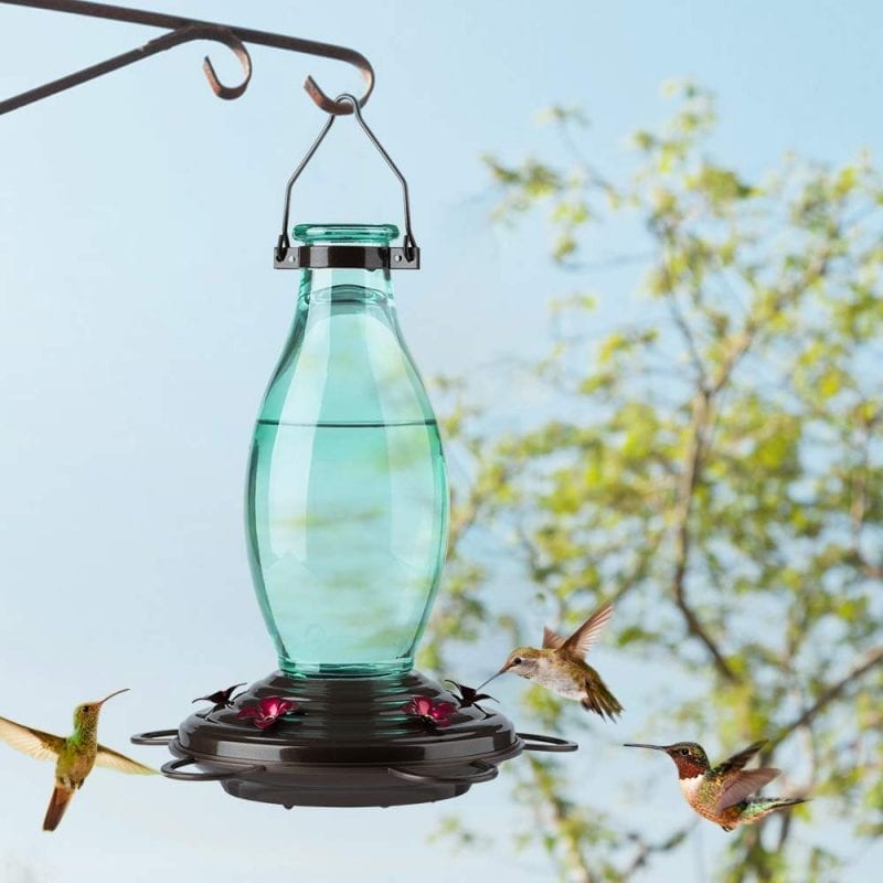 Hummingbird Feeders Retro Edison Bulb Bottle