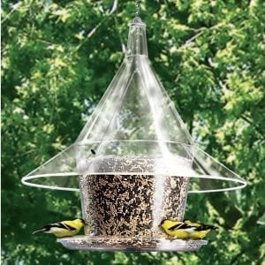 Mandarin Sky Cafe Bird Feeder