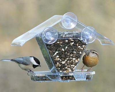 Window-Cafe-Hopper-Bird-Feeder