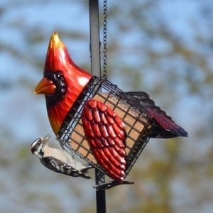 Cardinal Suet Bird Feeders