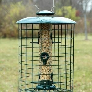 Caged 6 Port Seed Tube Squirrel Proof Bird Feeder