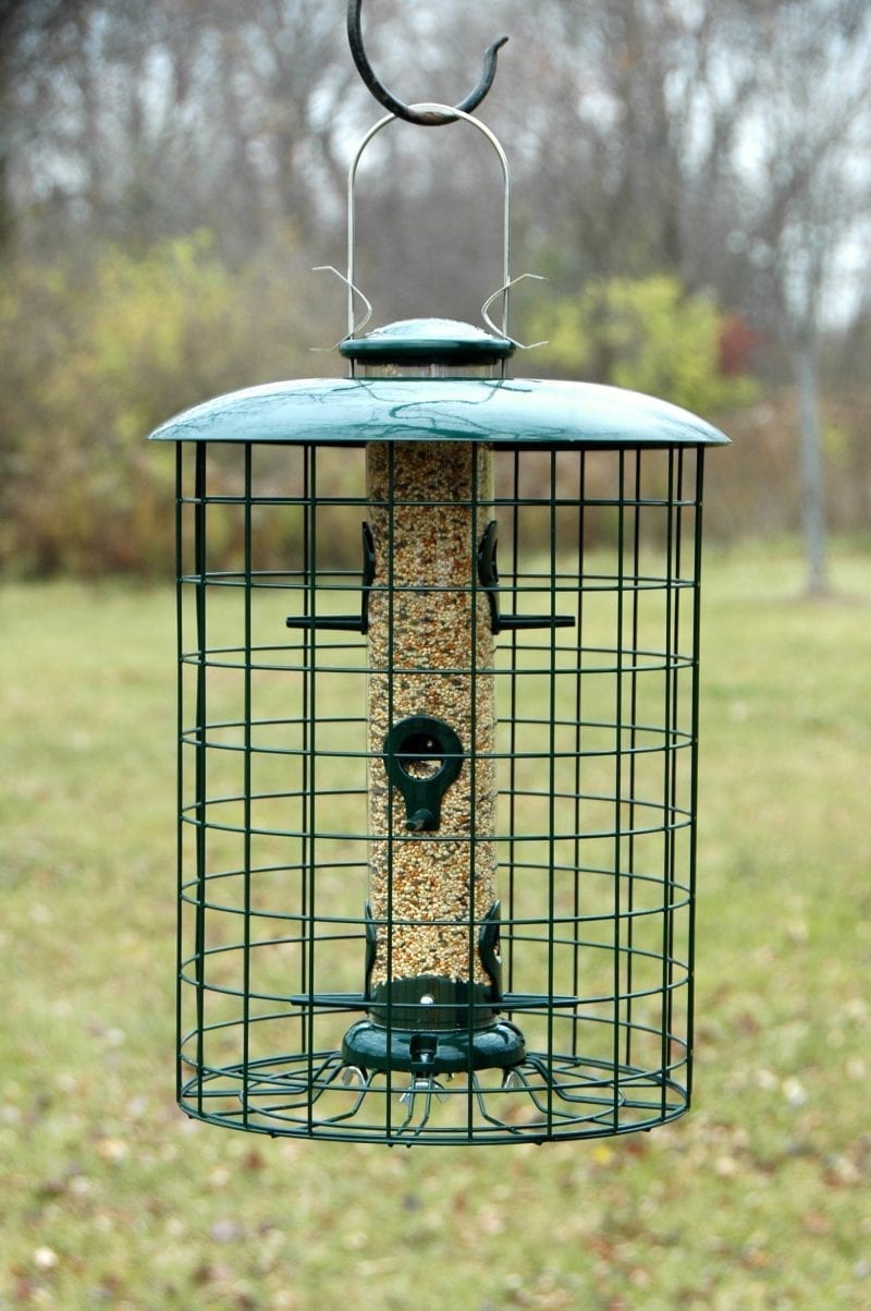 Caged 6 Port Seed Tube Squirrel Proof Bird Feeder