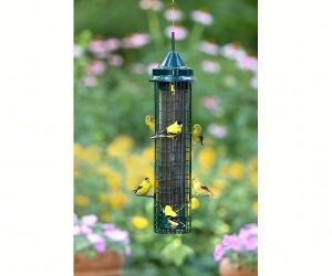 Squirrel Buster Finch Bird Feeder