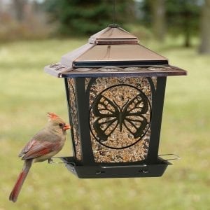 Hopper Bird Feeder